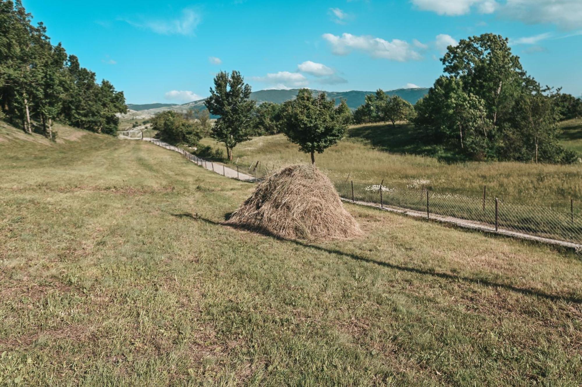 Domacinstvo Braca Rebic Villa Gacko Exteriör bild